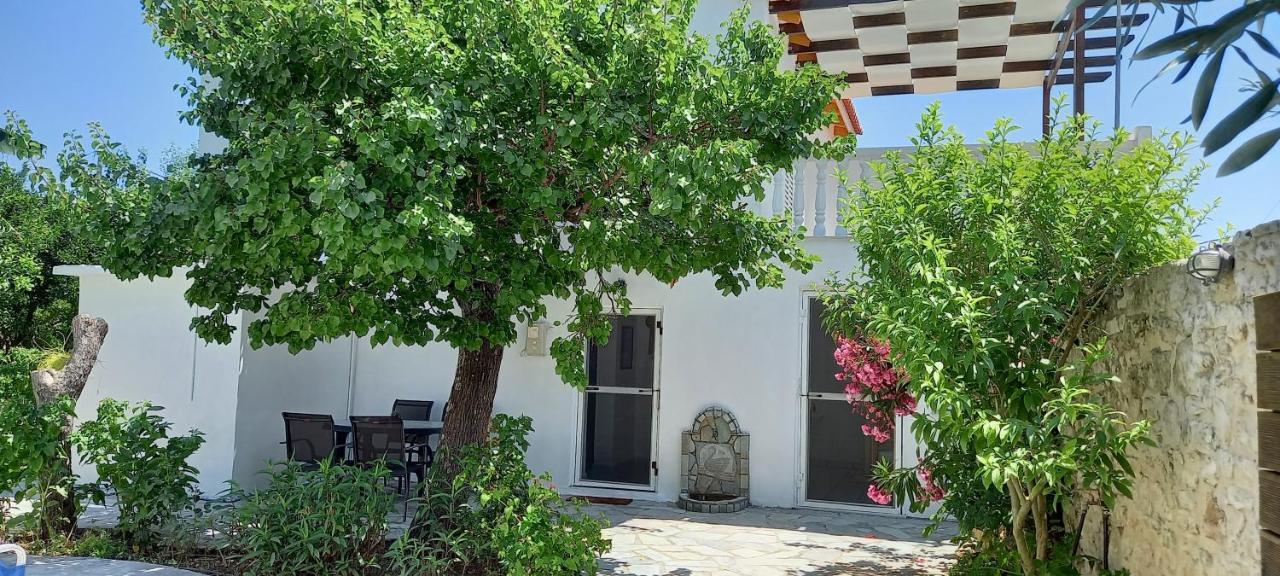 Villa Beloussi Zakynthos Кипсели Экстерьер фото